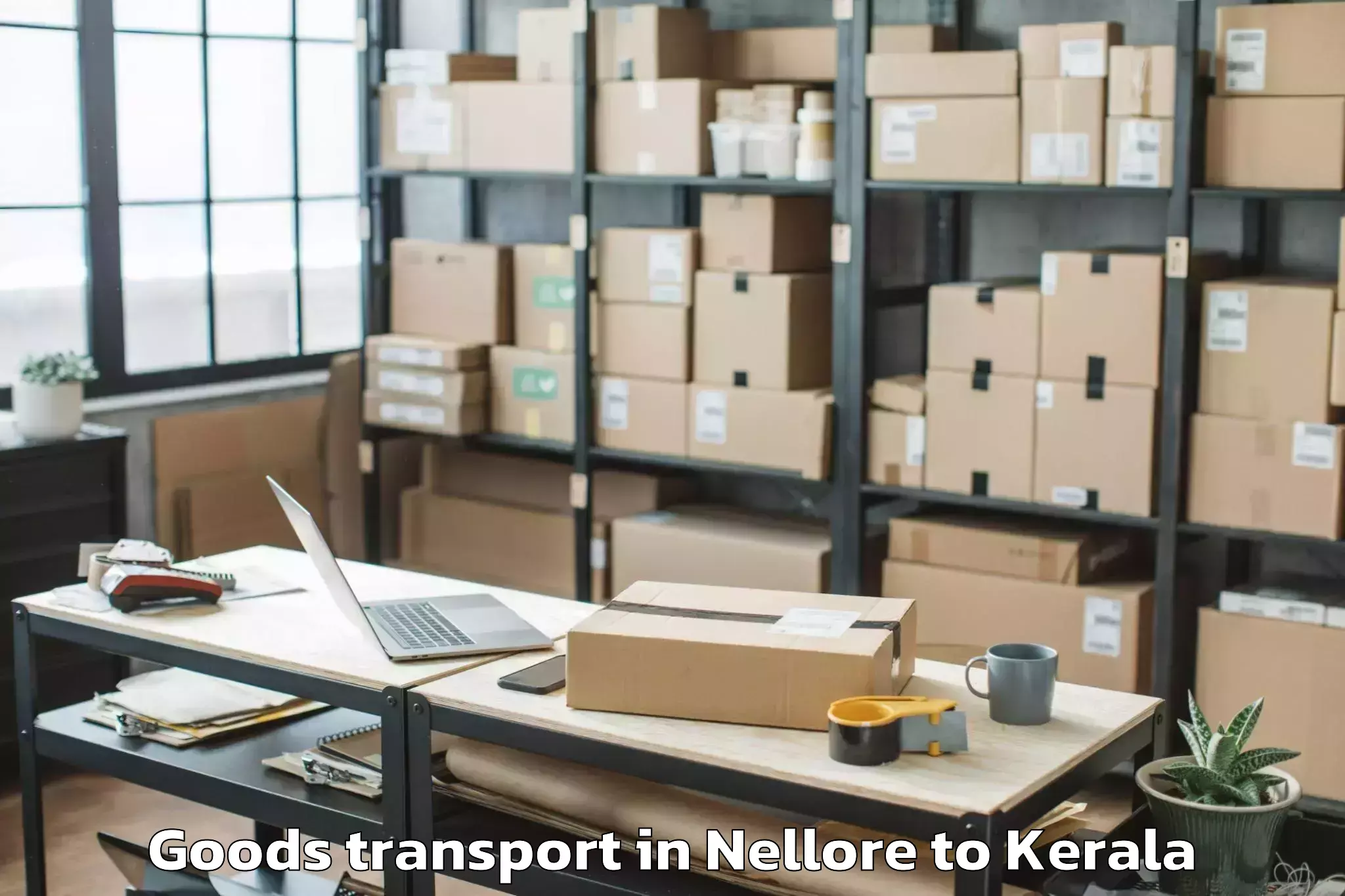 Top Nellore to Kollam Goods Transport Available